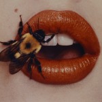 Irving Penn, Bee. New York, 1995. Smithsonian American Art Museum. 