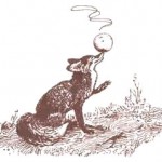 fuchs