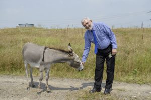 Gras ist gewachsen über dem Müll vergangener Jahrzehnte. Jetzt sorgen Esel auf der Deponie Feilheck dafür, dass es nicht in den Himmel wächst. Bürgermeister Wolfgang Erichson begrüßt einen der neuen Mitarbeiter im Heidelberger Südwesten. Foto: Philipp Rothe, 