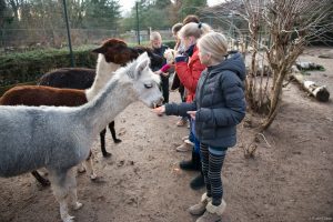 zoo_schule